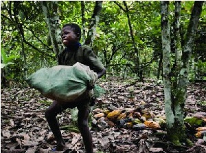 Cocoa Child Labour