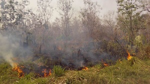 Indiscriminate burning of bushes - File photo