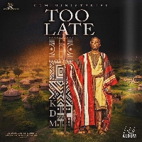 Artwork for 'Too Late'