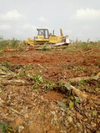 A section of cocoa farm in Asikesu Odumasi being pulled down by an excavator