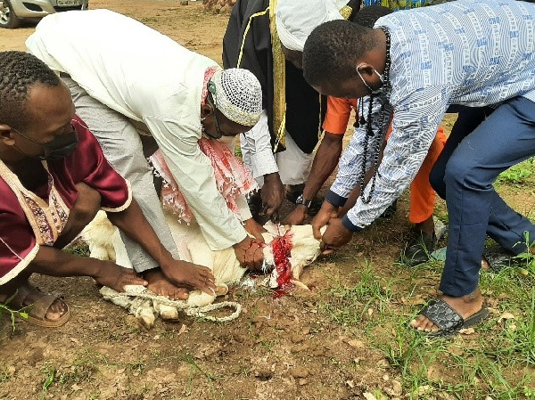 Muslims slaughter a sheep for Eid-Ul-Adha | File photo