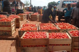 File photo of tomatoes at the market