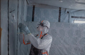 Ebola is a viral haemorrhagic disease that can cause fever, vomiting, diarrhoea, internal bleeding