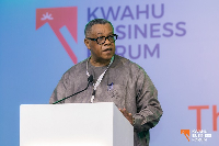 Goosie Tanoh is the presidential advisor on the 24 Hour Economy initiative