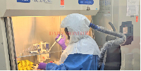 A scientist conducts tests in Viral Hemorrhagic Fever Lab at Uganda Virus Research Institute
