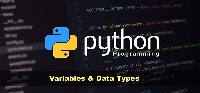 Python is a high-level programming language