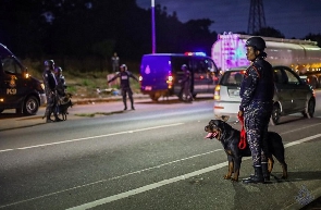 Some police officers with their K9 dogs