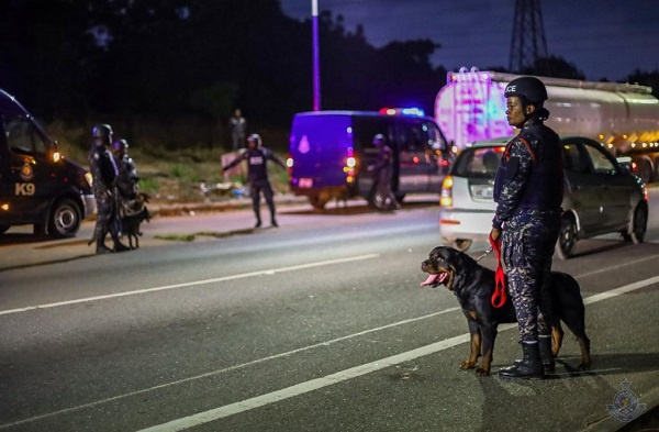 Some police officers with their K9 dogs