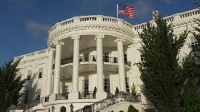 The White House