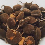 Yooyi: Exploring the health benefits of velvet tamarind, nature's gift to Ghana