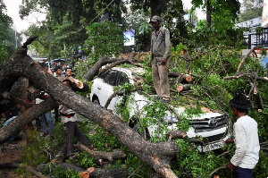 People remove a tree fallen over a car, during a heavy storm,  Prayagraj, in the north Indian state