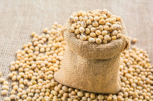 MoFA seeks legal backing to restrict soybean export
