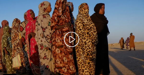 Sudan Doctors Network condemns RSF using rape as weapon of war on women fleeing el-Fasher