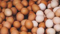 File photo of fresh eggs