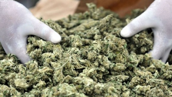 Ghana legalizes cannabis for health and industrial purposes
