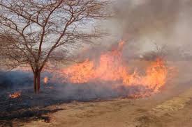 Farmers who set fire at farms to cook must put a stop to this practice during this dry season
