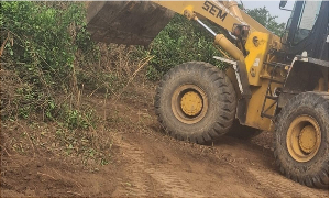 The facility was cleared of weeds after reports of reptile invasion