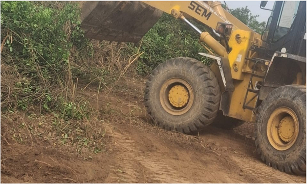 The facility was cleared of weeds after reports of reptile invasion