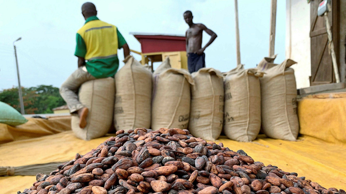 Cocoa farmers