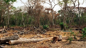 Deforest 3