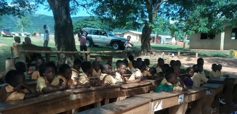 Some of the pupils studying under trees