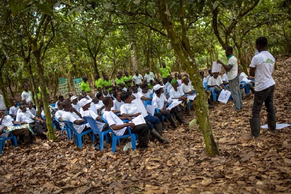 A cross-section of the OLC beneficiary smallholder cocoa and cashew farmers in agri-training