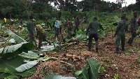 Forestry Commission task force destructing a farm