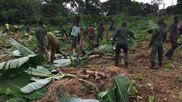 Forestry Commission task force destructing a farm