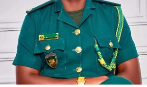 File photo of an immigration officer