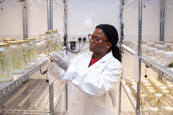 Ghanaian scientist Dr Pearl Abu recognised by UNESCO