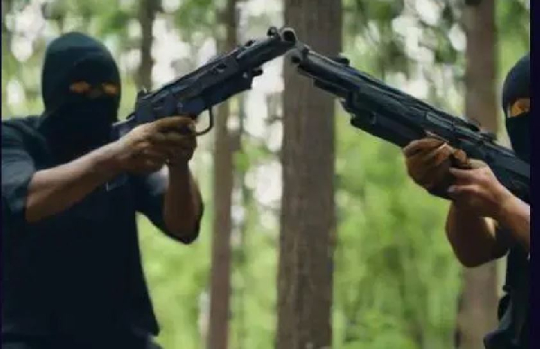 Njoku says Nigeria is yet to recover from the menace caused by the proliferation of small arms