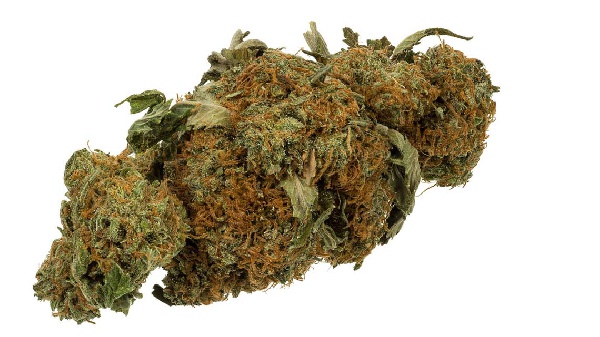 Cannabis file photo
