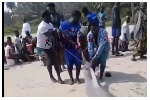 Watch as fishermen drag huge shark ashore after accidental catch