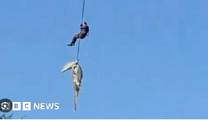 The reptile suspected to have eaten the missing man