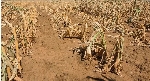 Malawi declares state of disaster over severe drought