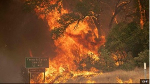 Carlifornia Wildfires  