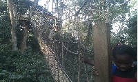 The Bunso canopy walkway was constructed in 2013