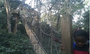 The Bunso canopy walkway was constructed in 2013