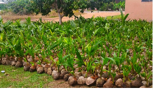 The programme aimed at improving household nutrition as well as building a strong foundation
