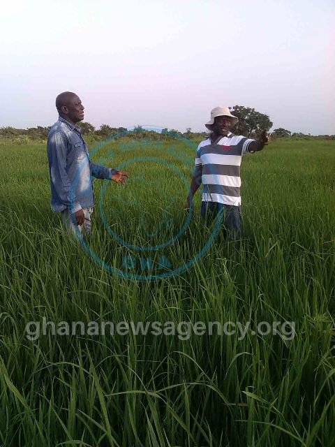 Mr Boakye Acheampong & Mr Abanga