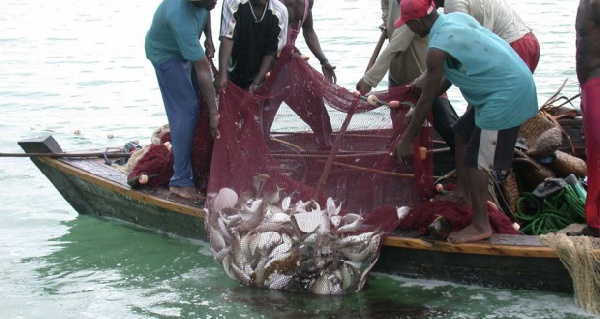 Fishermen struggling with their catch