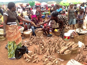 Cassava Seller