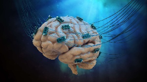 Brain Internet1