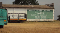 The Mtibwa Sugar Factory in Tanzania. PHOTO | THE CITIZEN | NMG