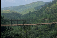 A photo of the Amedzofe Canopy Walkway