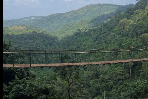 A photo of the Amedzofe Canopy Walkway