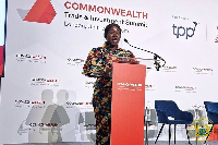 Elizabeth Ofosu-Adjare, Minister of Trade, Agribusiness and Industry