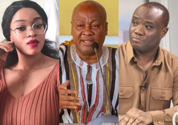 L-R: Anne Sansa Daly, President John Dramani Mahama and Felix Kwakye Ofosu