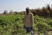 Joseph Tuumbabuya stands proudly in his pepper farm