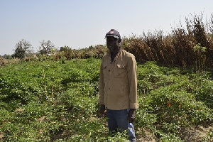 Joseph Tuumbabuya stands proudly in his pepper farm